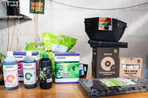 Kanauska Čilijada 2024